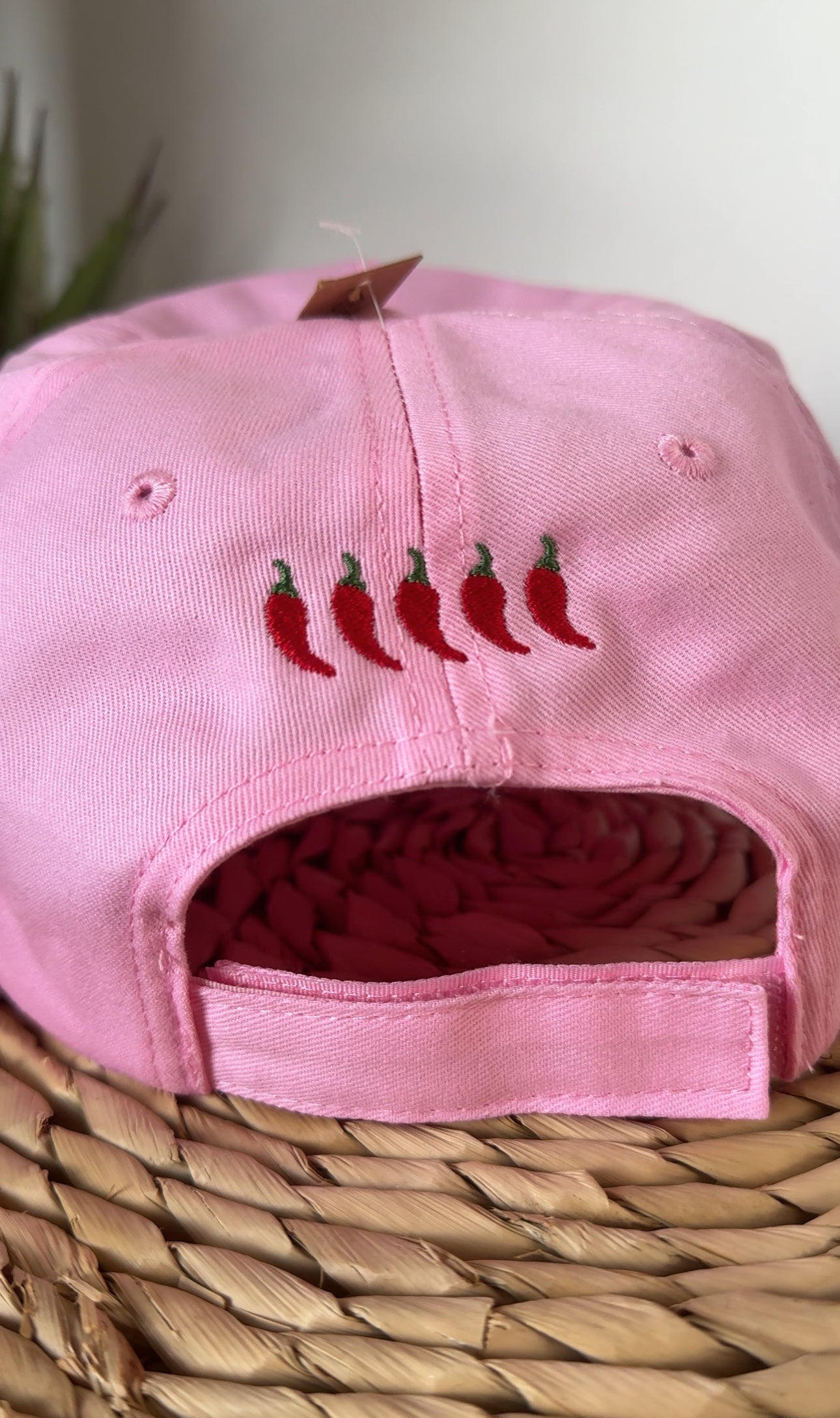 Spicy Book Club Embroidered Cap